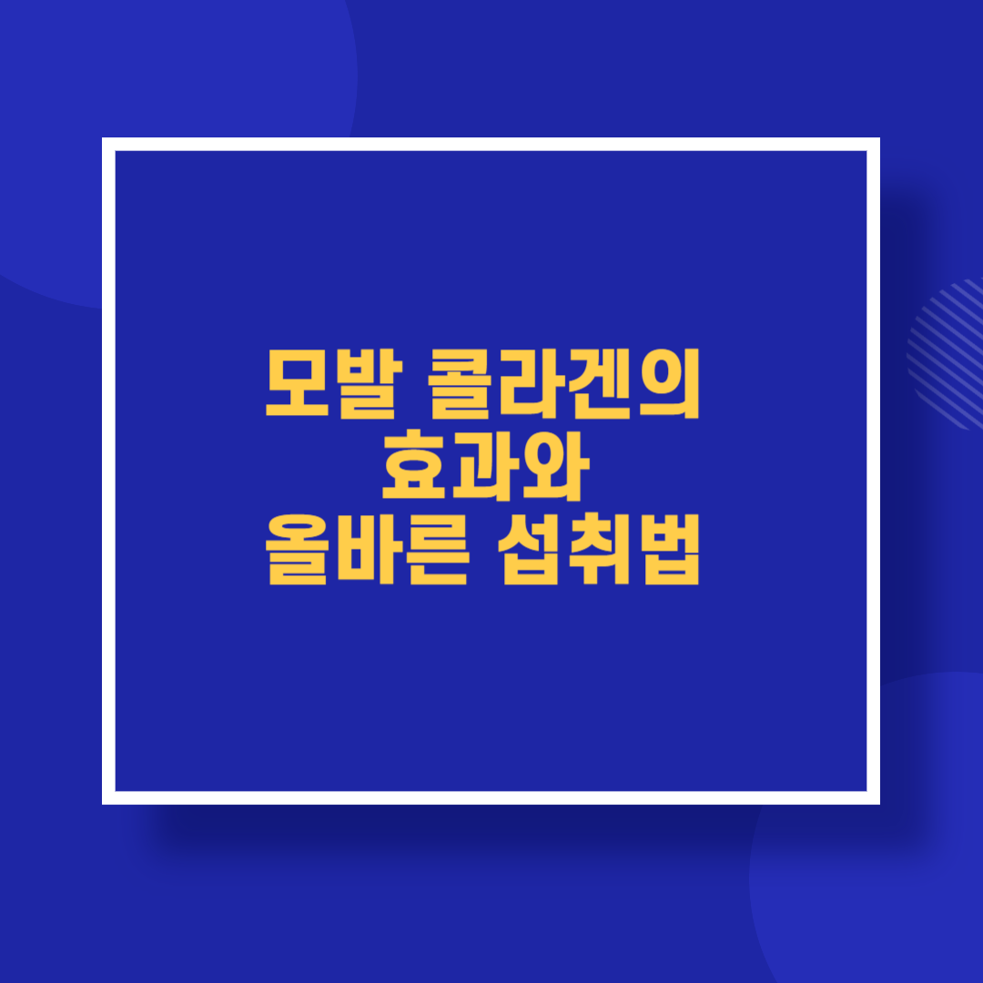모발 콜라겐의 효과와 올바른 섭취법