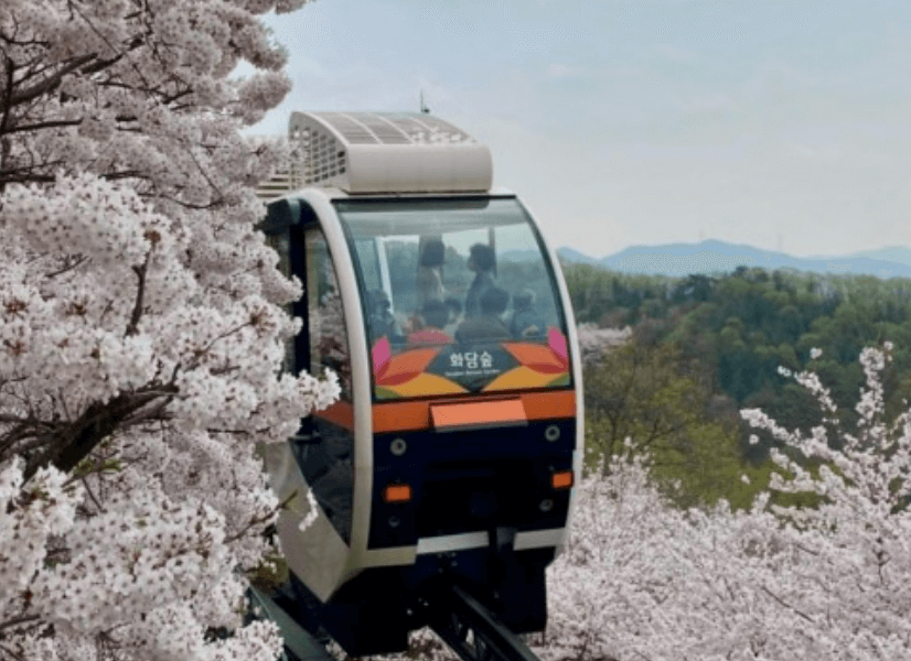 2025 화담숲 모노레일 예약 야놀자