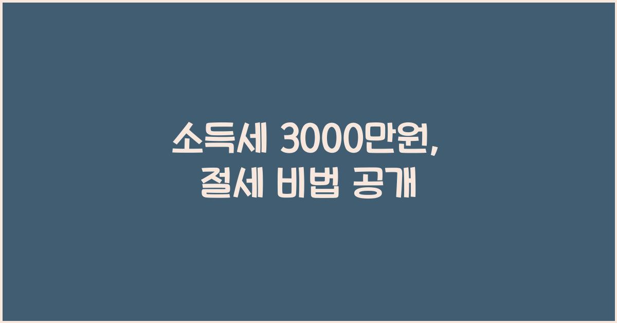 소득세 3000만원