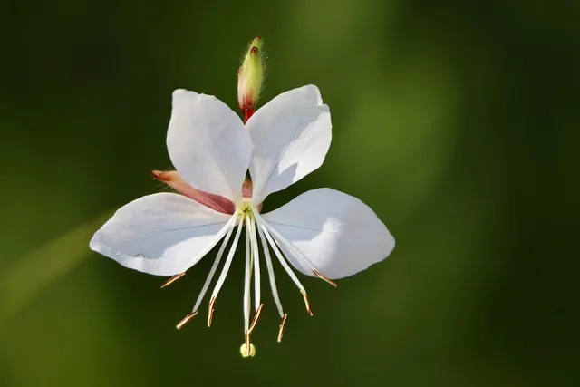 혼다 어코드 하이브리드 가격 그랜저 판매량 비교 분석_5
