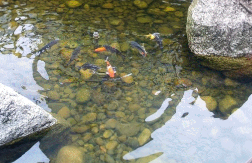 철산 래미안 자이 조경