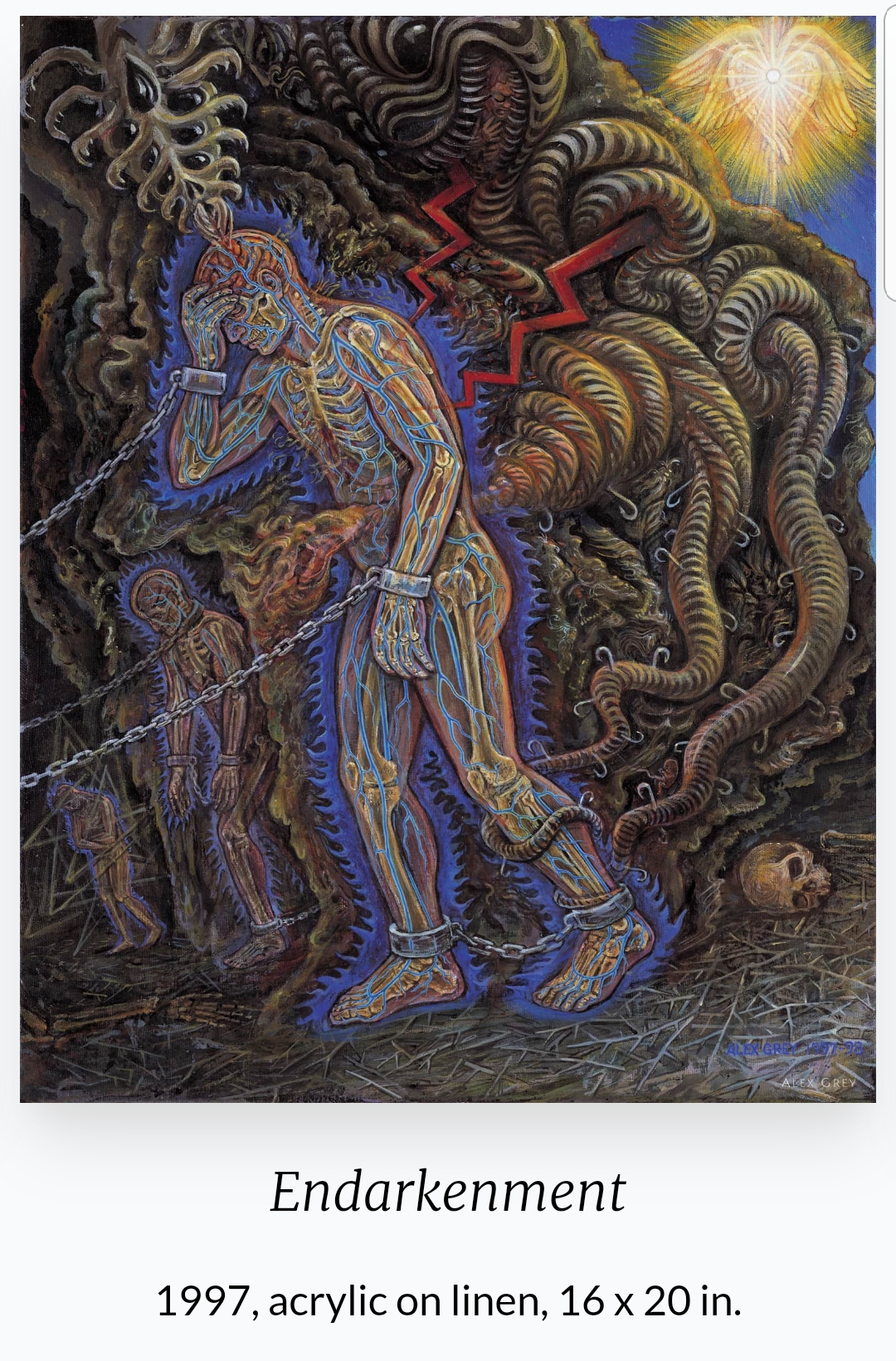 Alex Grey(1953~ ) 작품

 'Endarkenment'