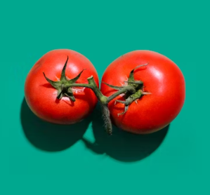 토마토 효능 부작용 고르는법 칼로리