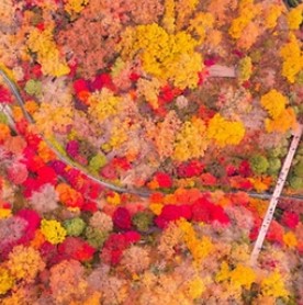 화담숲 예약: 한국의 고요한 수목원을 방문하는 방법&amp;#44; 입장료&amp;#44; 그리고 계절별 팁