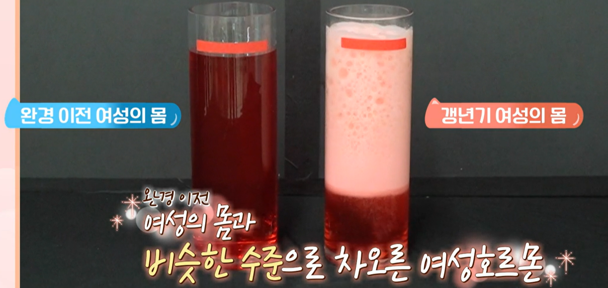 갱년기 유산균 YT1 효능