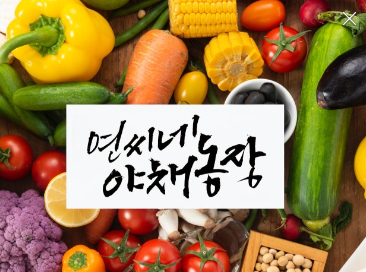 [6시 내고향] 충북 증평 나물 주문 연씨네야채농장 정보