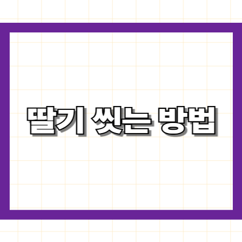 딸기 씻는 방법 — 농약 제거부터 꼭지 처리까지