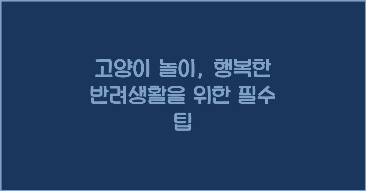 고양이 놀이