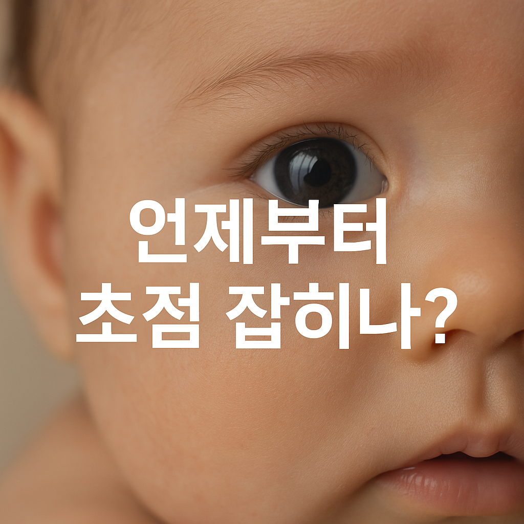우리 아기 눈, 언제부터 또렷해질까 👀 초점 잡는 시기 완전정리