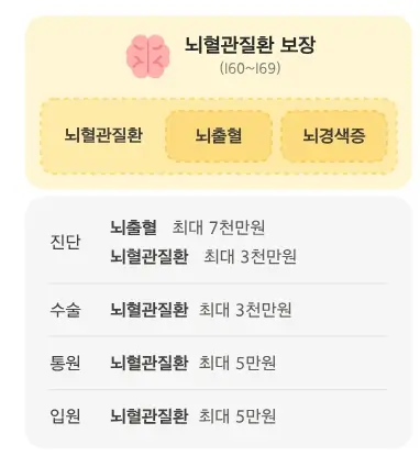 뇌혈관질환 건강라이프 인생도 보험도 원하는대로 대비 방법 총정리 TIP3