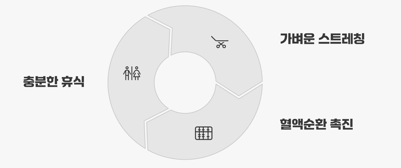 스스로 돌을 녹이는 우리 몸의 능력