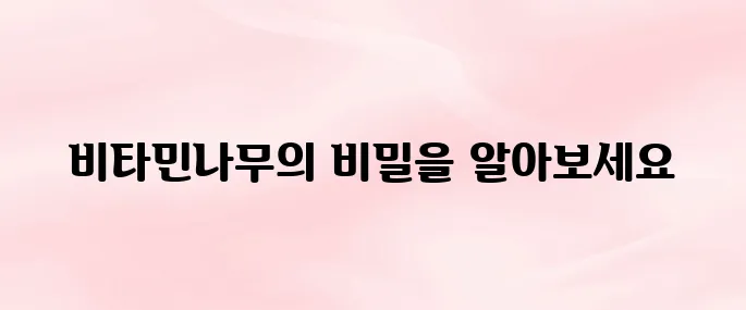 비타민나무(씨벅톤)의 효능 – 피부·면역력 강화에 좋은 이유