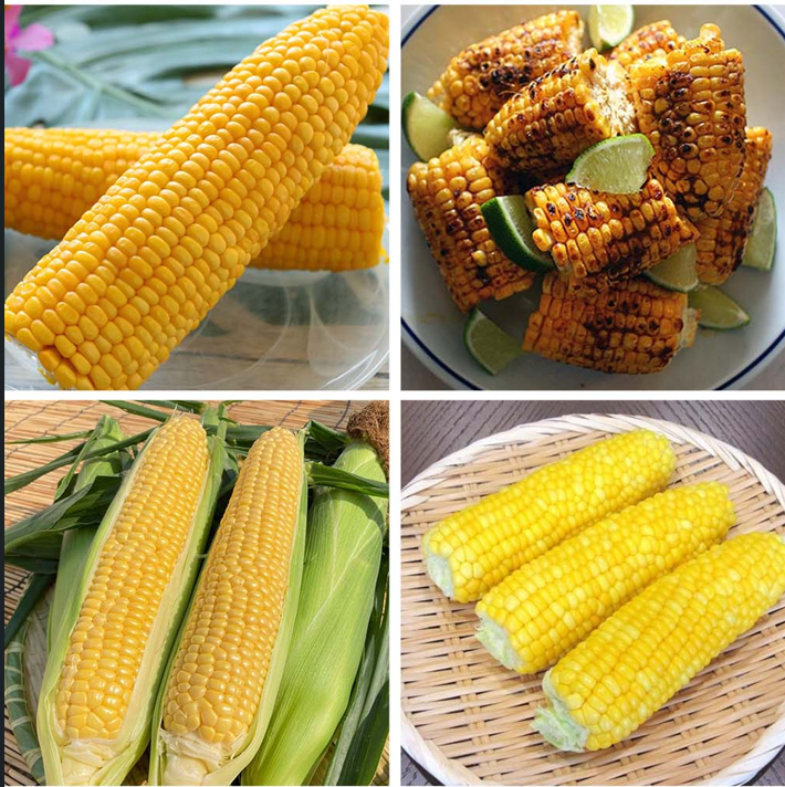 초당 옥수수 먹는법