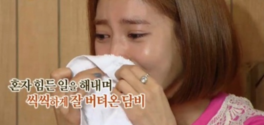 손담비 