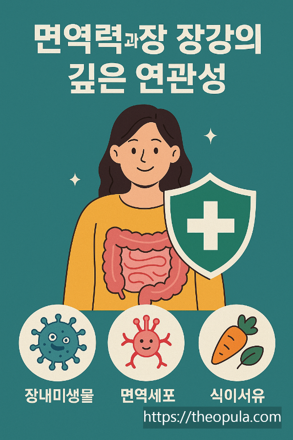 면역력과 장 건강의 깊은 연관성
