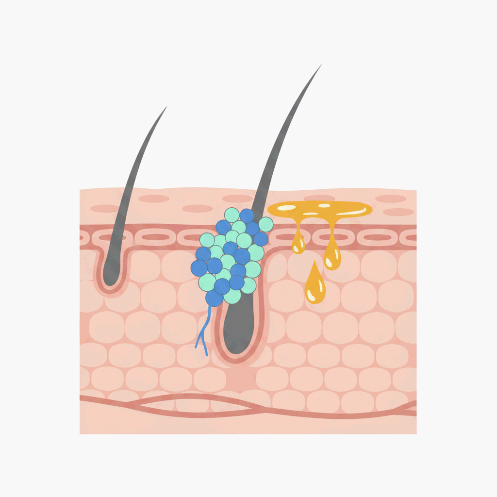 피지선이 피부를 보호하는 생리적 원리를 상징적으로 표현한 미니멀 과학 일러스트레이션