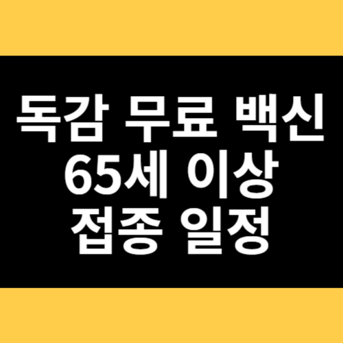 독감 무료 백신 65세 이상 접종일정 썸네일