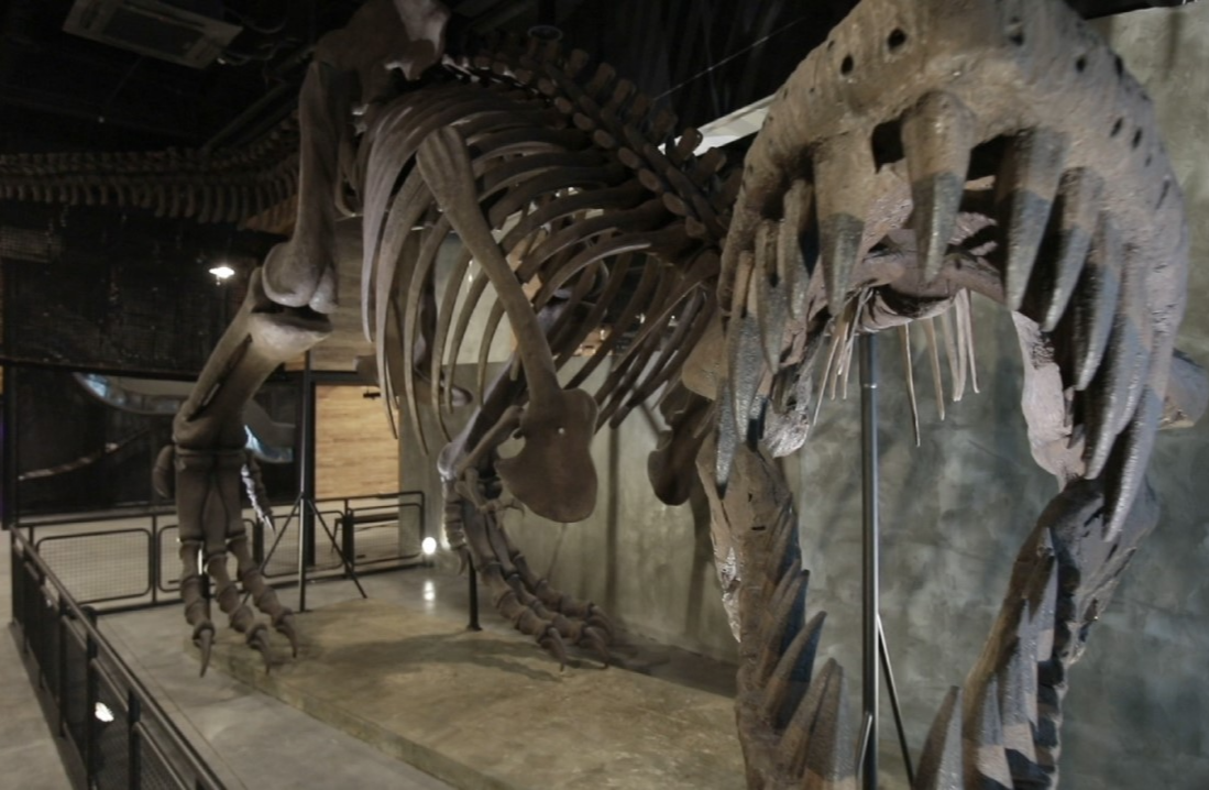 워너두 칠드런스 뮤지엄