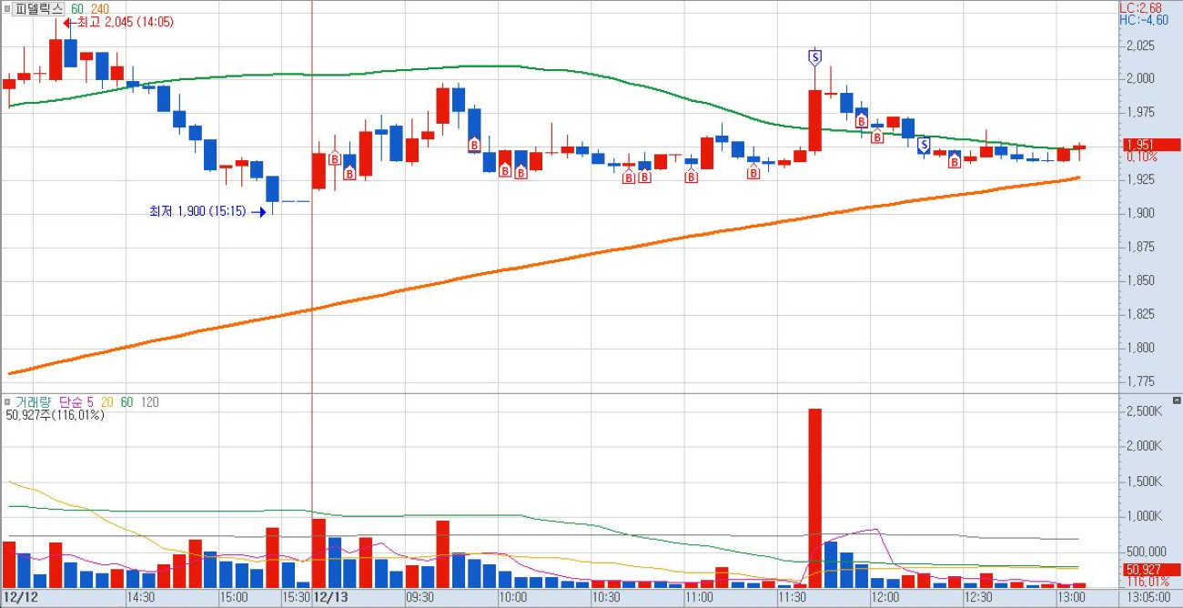 피델릭스-5분봉-차트