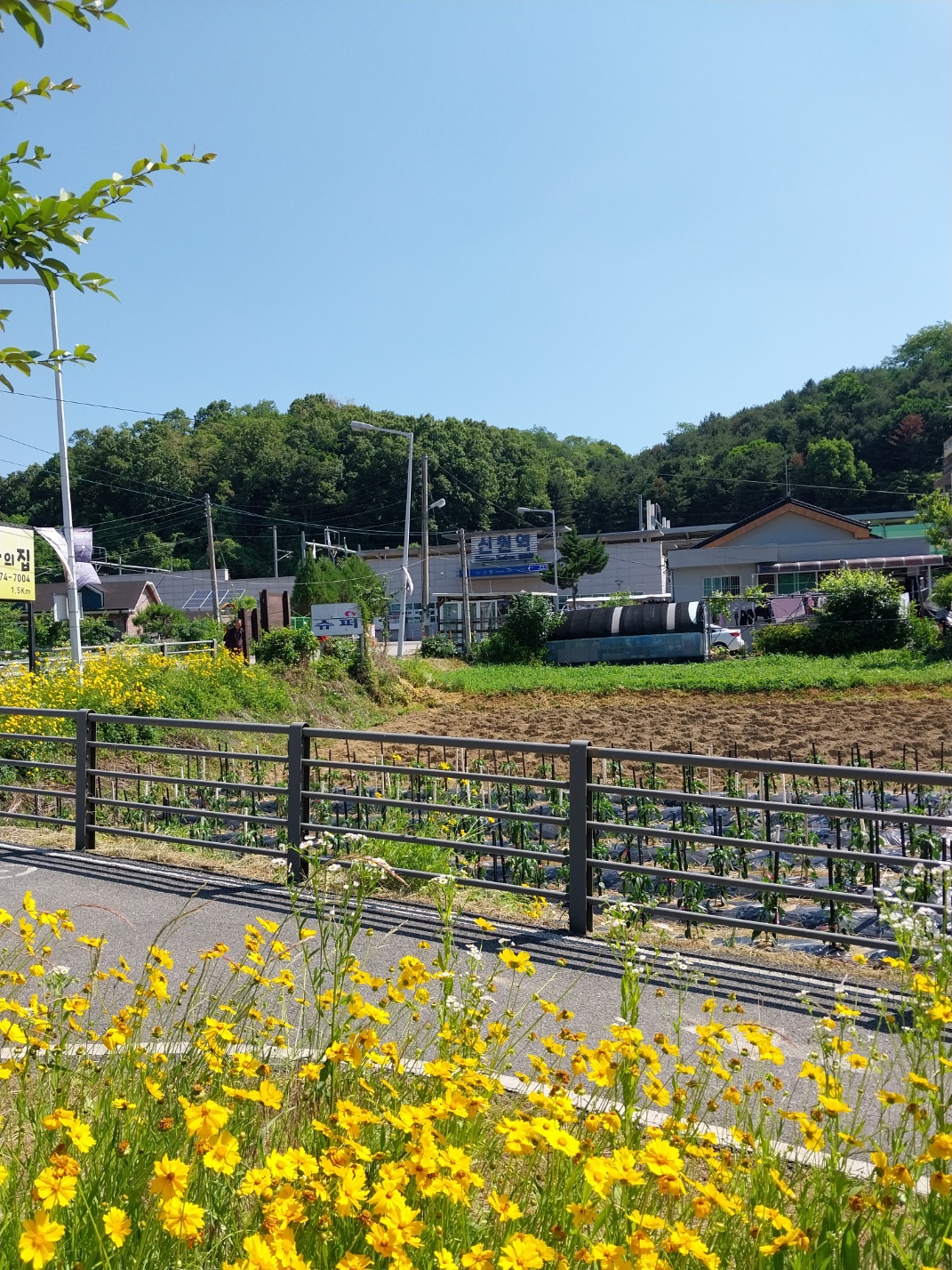서울 근교 누구나 자전거와 걷기에 좋은 길