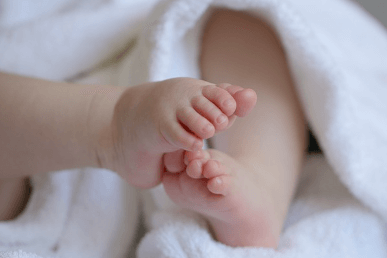 냉동난자 사용 보조생식술 지원금