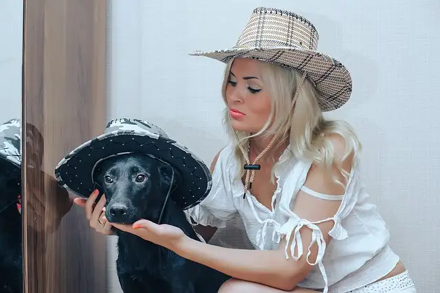 강아지 돌보미 가격 총정리! 지역별, 서비스별 비용 비교