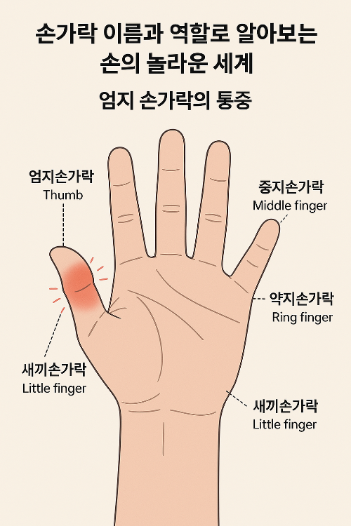 Alt 속성 문제 해결 설명 이미지