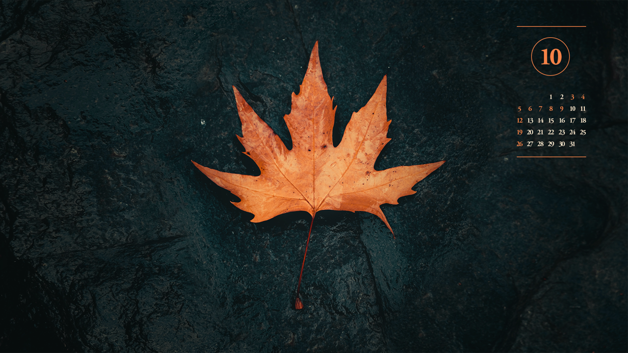 04 낙엽 A - 2025년10월 노트북배경화면