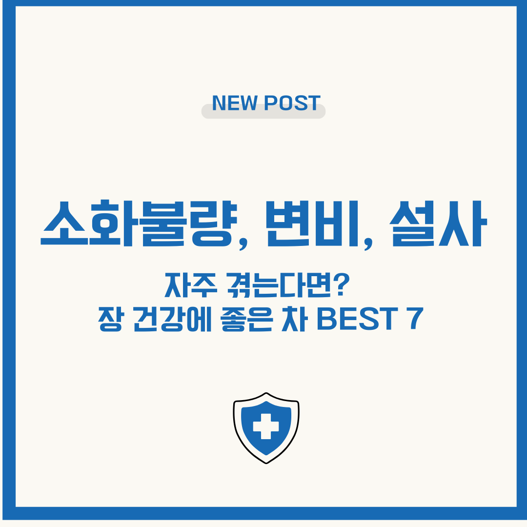 소화불량, 변비, 설사 자주 겪는다면? 장 건강에 좋은 차 BEST 7