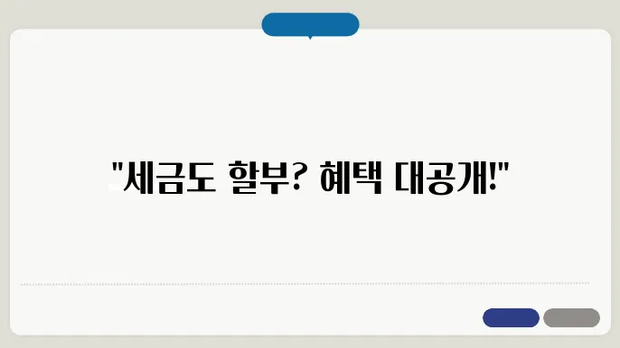 국세 무이자 할부 활용 팁