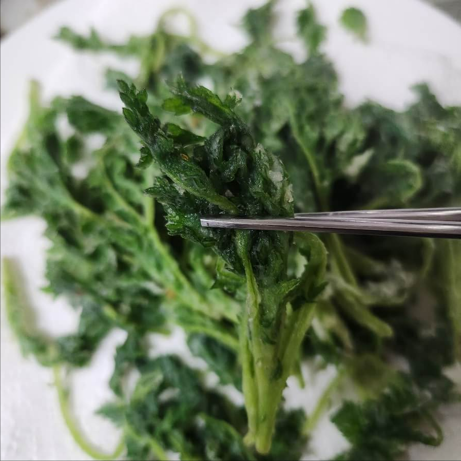 #요리 레시피,#젤다 요리 레시피,#두부요리 레시피,#동물의숲 요리레시피,#캠핑요리레시피,#김치 요리레시피,#모동숲 요리 레시피,#마비노기 요리 레시피,#건강 약선요리 레시피 115가지,#근대 조선요리 레시피 부록,#@먼방구요리레시피,#@빵떡부부 요리레시피,#요리 레시피 어플,#요리 레시피 사이트,#요리 레시피 모음,#나물 요리레시피 3,#요아마미 쿠킹클래식 요리레시피,#이미경 요리레시피 찰수수 연어 프리타타,#이미경 요리레시피 연잎밥,#닭발요리 레시피,#굴요리 레시피,#최고의 요리비결레시피,#새우 요리 레시피,#에어프라이어 요리 레시피,#고구마 요리 레시피,#요리레시피 앱,#요리레시피 pdf,#요리레시피 양식,#요리레시피 저작권,#요리레시피 ppt,#요리레시피 어플,#요리레시피 일러스트,#요리레시피 책,#마비노기 요리레시피,#달빛조각사 요리레시피,#굶지마 요리레시피,#스타듀밸리 요리레시피,#마이타임앳포샤 요리레시피,#젤다 요리레시피,#타워오브판타지 요리레시피,#새우요리 레시피,#백종원 레시피 모음 77가지 요리 레시피 모음,#연어 요리 레시피,#토마토 요리 레시피,#당근 요리 레시피,#닭가슴살 요리 레시피,#전복요리레시피