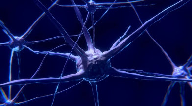 영아연축, 단순한 경련이 아닙니다