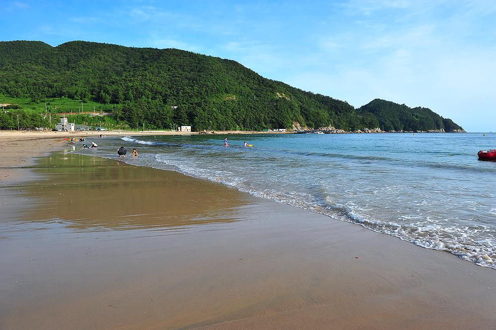 경상남도 남해군 송정솔바람야영장