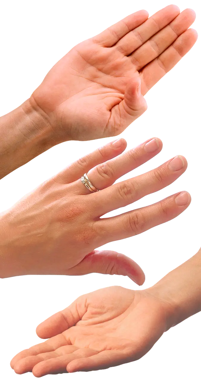 쥐가 자주 나는 원인