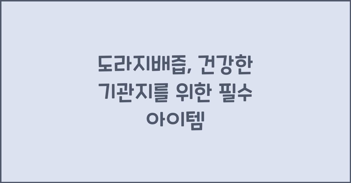 도라지배즙