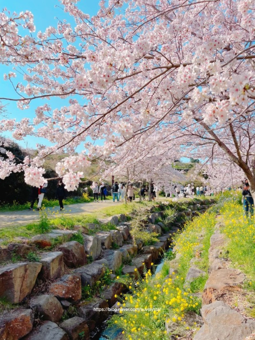 suvelystar 예래생태공원