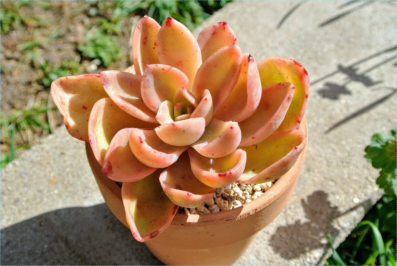 우체국 적금 금리