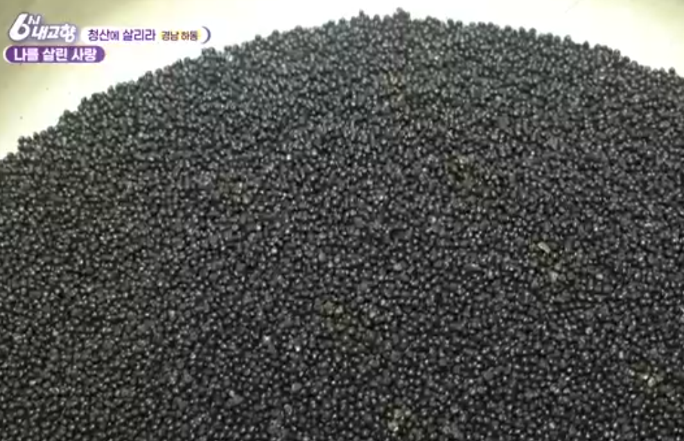 하동 산초 열매