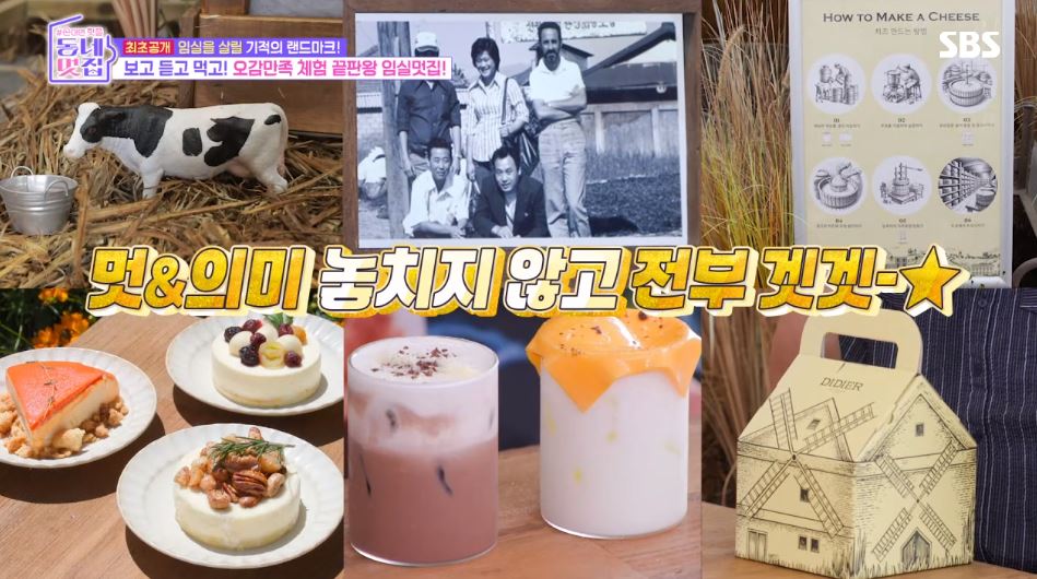 동네멋집 임실 치즈케이크