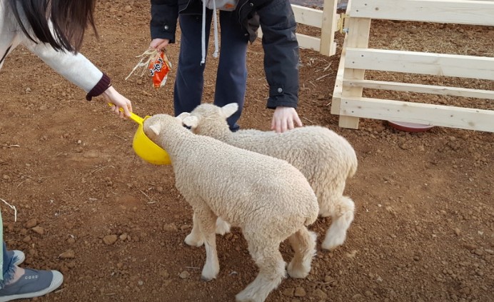 주말 아이랑 가기 좋은 곳 추천 - 부천 나눔농장