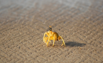 수락휴 예약 방법 쉽게 정리 2