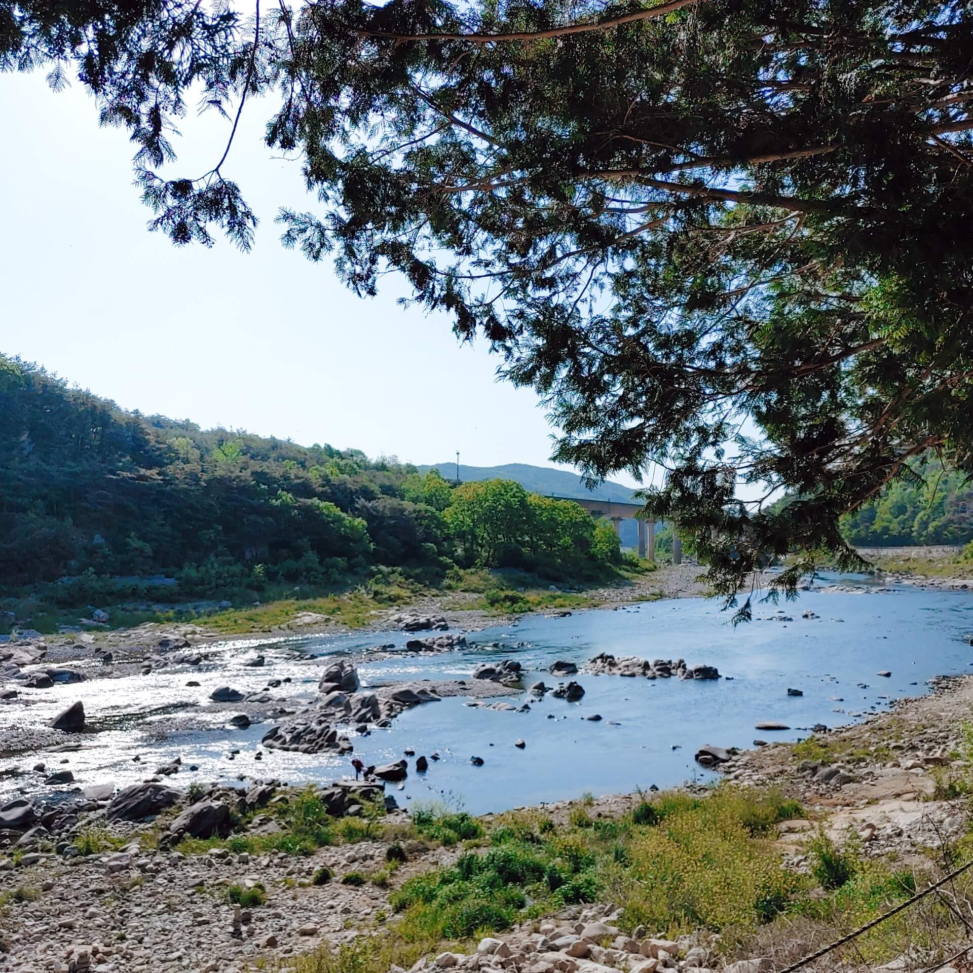 경호강캠핑장_&amp;_캠프627_강변뷰1