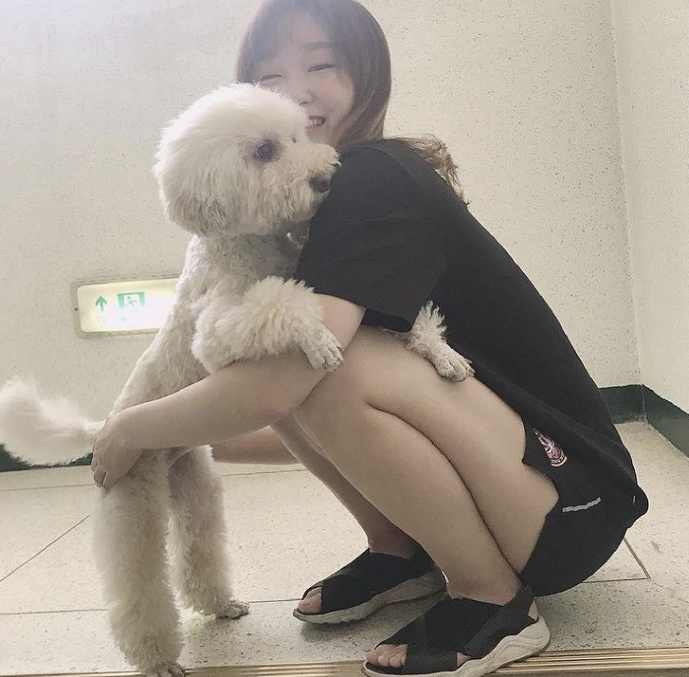 최민정 강아지
