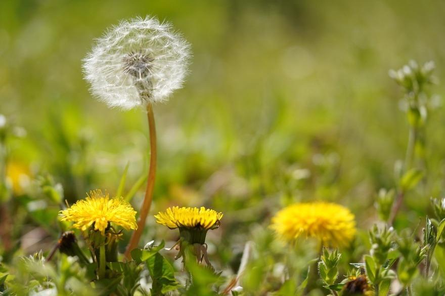 한적한 자연 사진