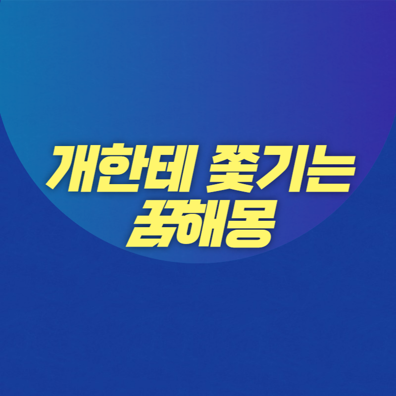 개한테 쫓기는 꿈해몽