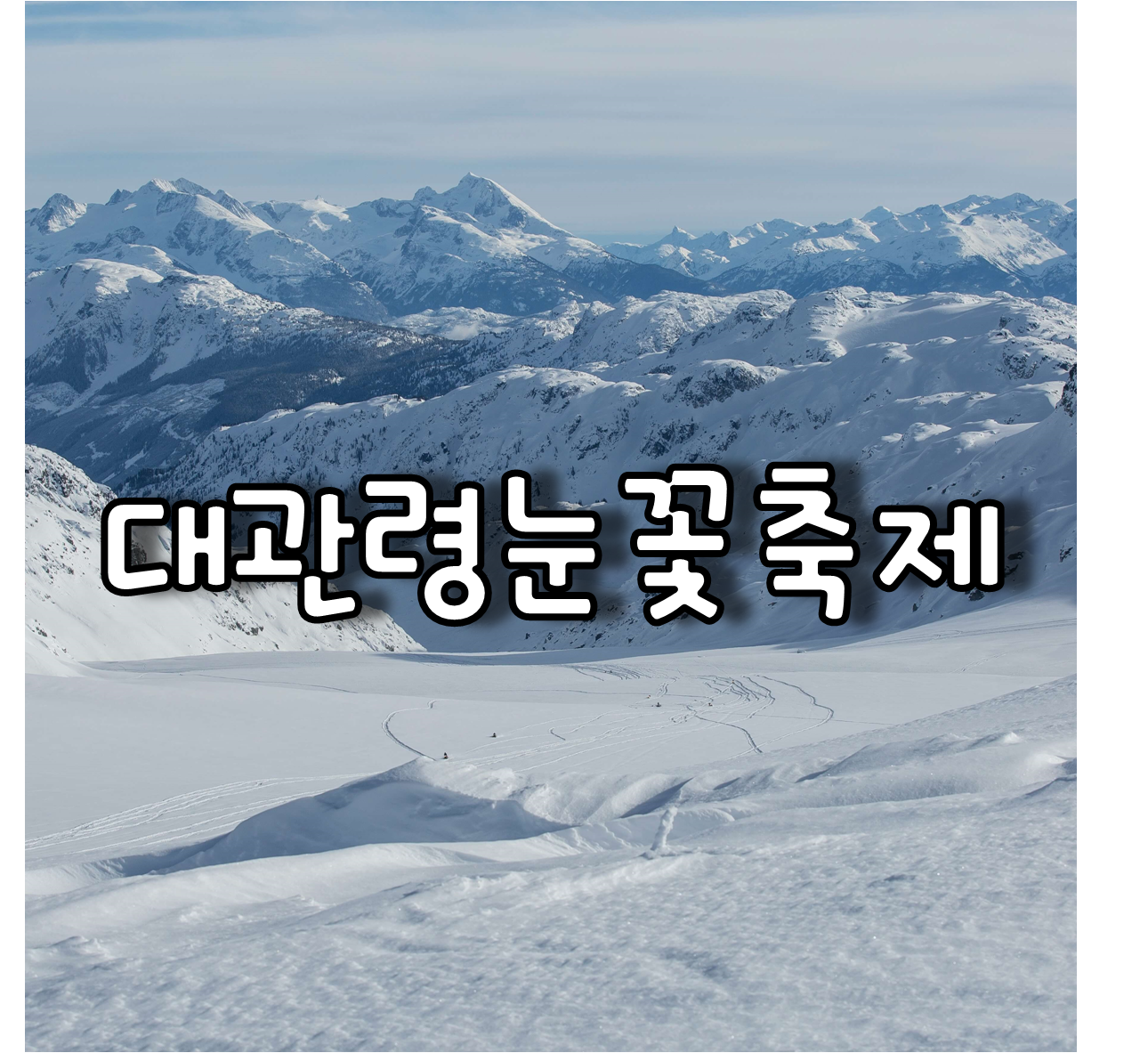 대관령눈꽃축제