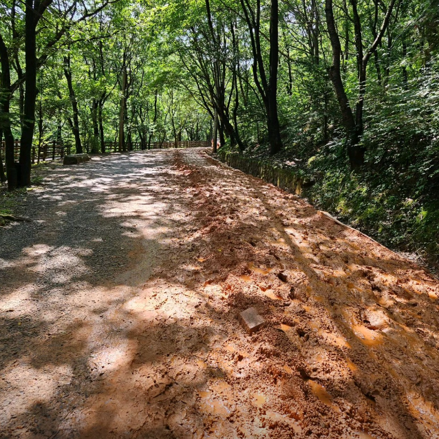 계족산 황톳길2