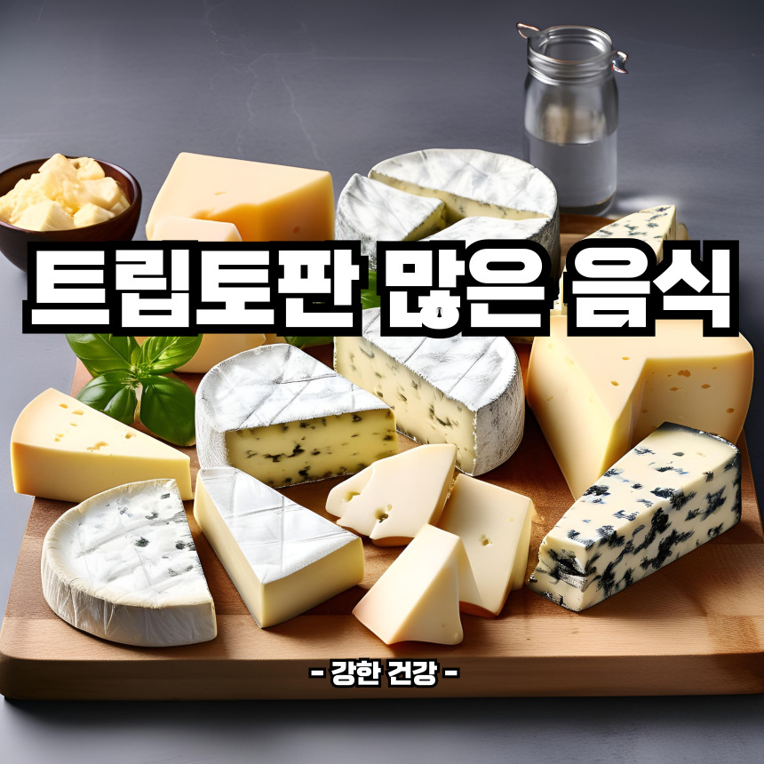 트립토판 많은 음식