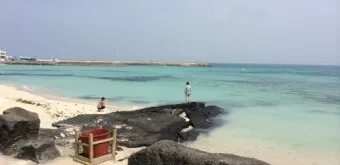 제주 월정리 카페 추천 감성 인테리어와 베이커리 소개_3