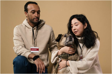 세계 동물의 날: 모든 생명을 존중하는 날